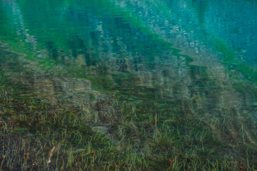 Boulders and plants on bottom of mountain lake with clean water close-up. Mountains reflected on smooth water surface. Background with underwater vegetation.