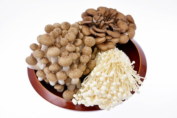 キノコ3種類　ブナシメジ  舞茸  エノキタケ