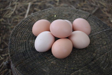 pile of fresh eggs from our farm