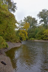 Autumn trees along the river