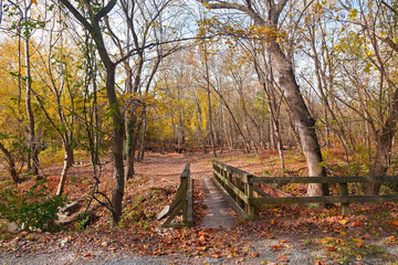 Sunny morning in the Canal Road park zone in suburban neighborhood of US capital. Wooden bridge in the autumn park, Washington DC, USA.