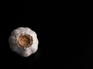 Garlic on black background dark tones.