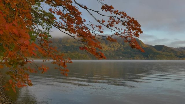 Fall Leaves at Lake toya