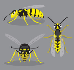 Wasp Poses Cartoon Vector Illustration