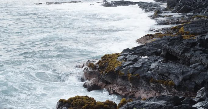 Sea weed rock textures with blue water surge