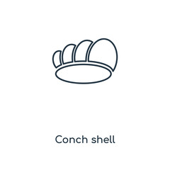 conch shell icon vector