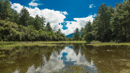Fototapeta premium Lago