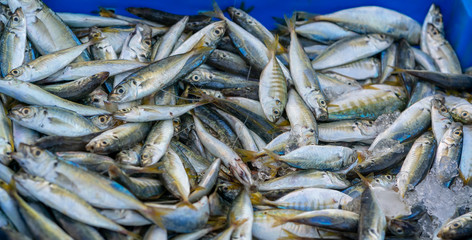 Yellow tail scad, Decapterus maruadsi fish caught fresh after the trade in fish markets. This fish species live in the waters of the central and south east of Vietnam