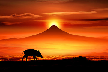 Fototapeta na wymiar 富士山の日の出とイノシシのシルエット