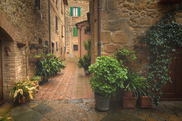 Fototapeta na wymiar Tuscany spring, Pienza italian medieval village. Siena, Italy.
