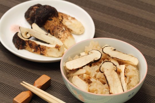 焼き松茸 Photos Royalty Free Images Graphics Vectors Videos Adobe Stock 焼き松茸 Photos Royalty Free Images Graphics Vectors Videos Adobe Stock