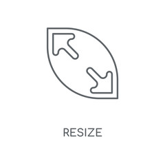 resize icon