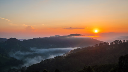 Sunrise in mountain at Doi Mae Salong Mae Fah Luang, Chiang Rai Thailand. Panorama landscape.