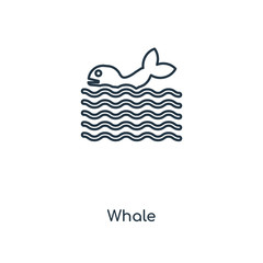 whale icon vector
