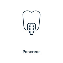 pancreas icon vector