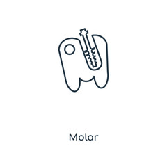 molar icon vector