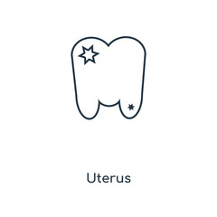 uterus icon vector