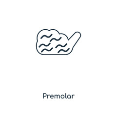 premolar icon vector