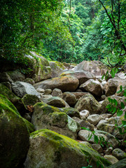 Piles of stones in the jungle