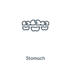 stomach icon vector