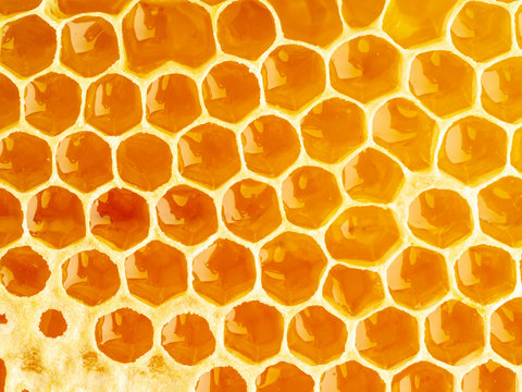 bee honeycomb closeup, fresh stringy dripping sweet honey, macro background