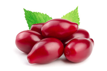 Red berries of cornel or dogwood with leaf isolated on white background
