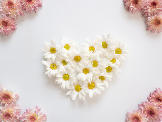 Top view of white flowers, those are called Chrysanthemum, arranged in heart shape on white background	