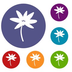 Tropical palm tree icons set in flat circle reb, blue and green color for web