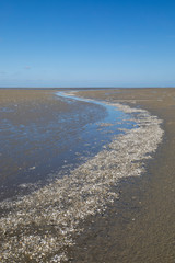 Litlle river flowing on the beach into sea, Somme Bay, Picardy, France.