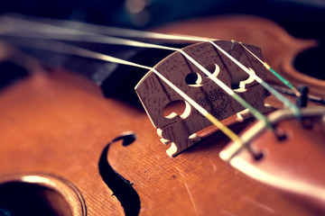 Closeup Of Violin Bridge, Bottom-Up View