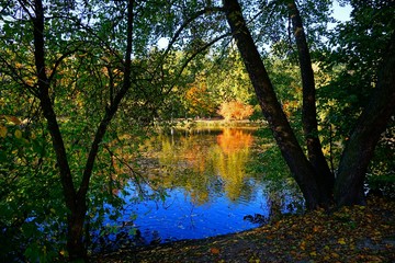 Beautiful colorful landscape. Autumn city park. Autumn at the pond. Golden  autumn
