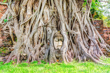 HDR image of Head of Sandstone Buddha in the tree roots at Wat Mahathat, Ayutthaya, Thailand.