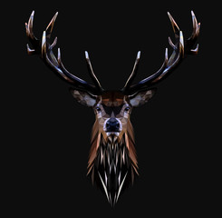 Low poly triangular deer head with horns on dark background, vector illustration EPS 10 isolated.  Polygonal style trendy modern logo design. Suitable for printing on a t-shirt.