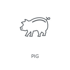pig icon