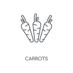carrots icon