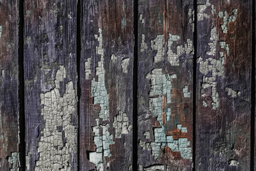 Vintage painted wooden background texture of wooden weathered rustic wall with peeling paint. Empty space for copy old wood texture. Cracked paint with lots of small cracks, abstract grunge texture