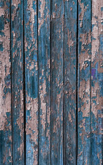 Vintage painted wooden background texture of wooden weathered rustic wall with peeling paint. Empty space for copy old wood texture. Cracked paint with lots of small cracks, abstract grunge texture