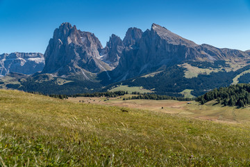 Obraz premium Eine Wanderung auf der Seiser Alm im Herbst bei blauem Himmel
