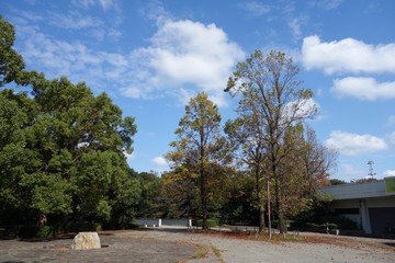 Fototapeta na wymiar 秋の公園