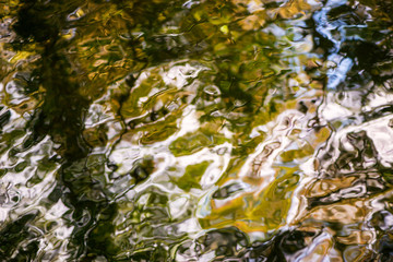 reflections in the river