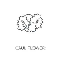 cauliflower icon