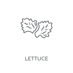 Fototapeta na wymiar lettuce icon