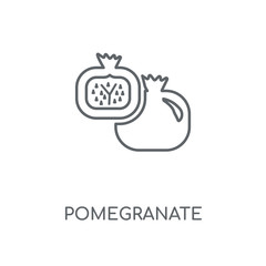 Fototapeta premium pomegranate icon