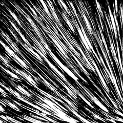 Fototapeta premium White and black grunge pattern. Background. Brush. Vector.