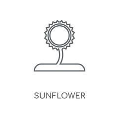 Naklejka premium sunflower icon