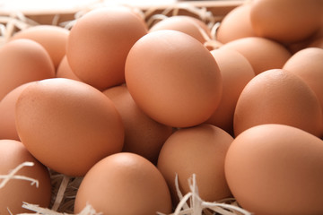 Pile of raw brown chicken eggs in straw