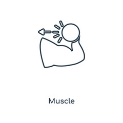 muscle icon vector