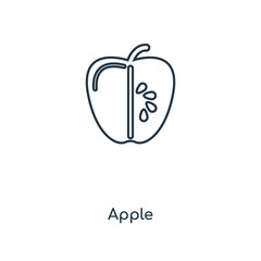 apple icon vector