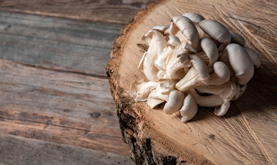 Raw oyster mushrooms on the cross section of the big old tree on a rustic table