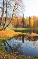 Sunny autumn landscape with small pond in the park.